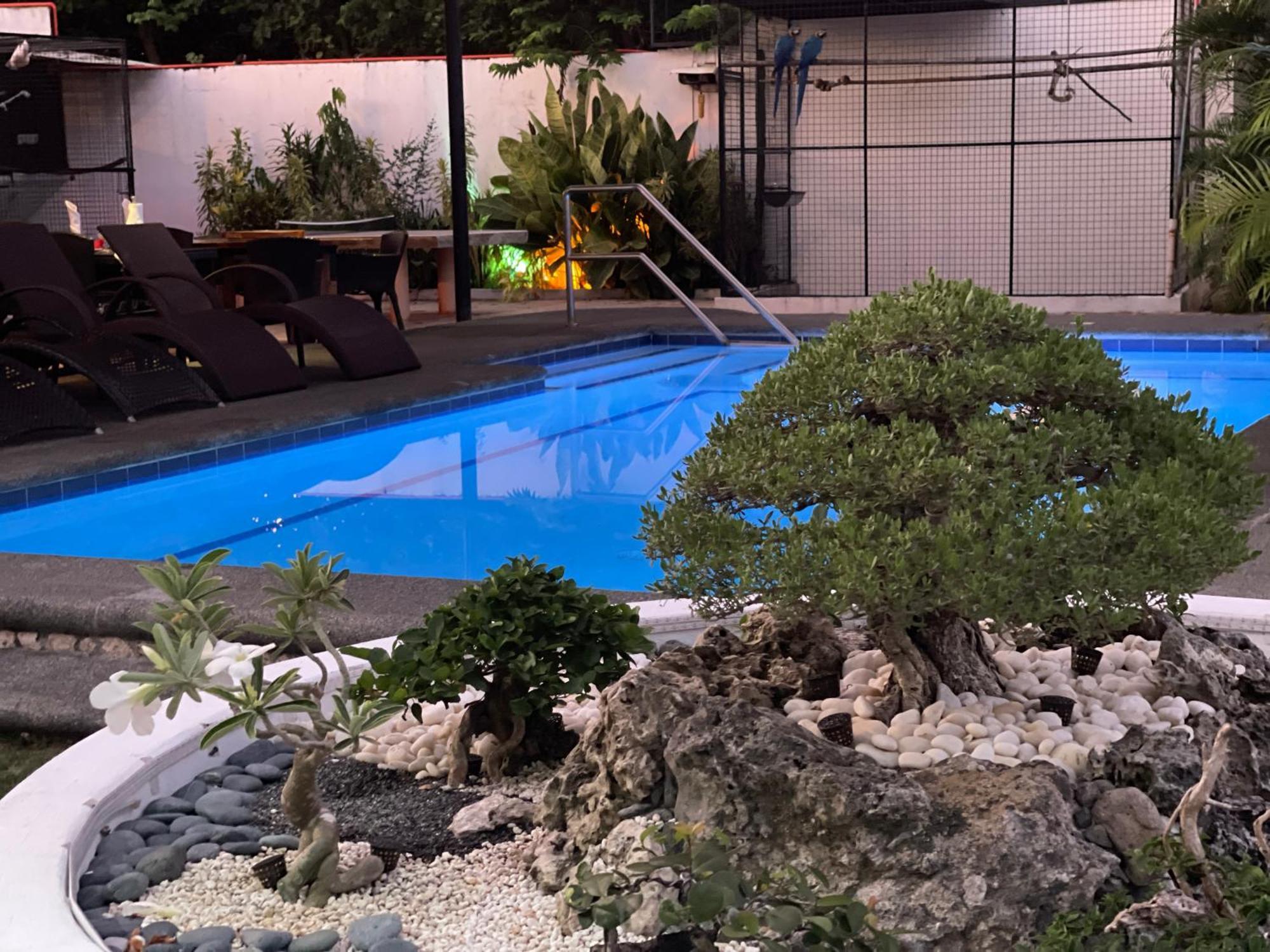 Parrot Resort מואלבואל מראה חיצוני תמונה