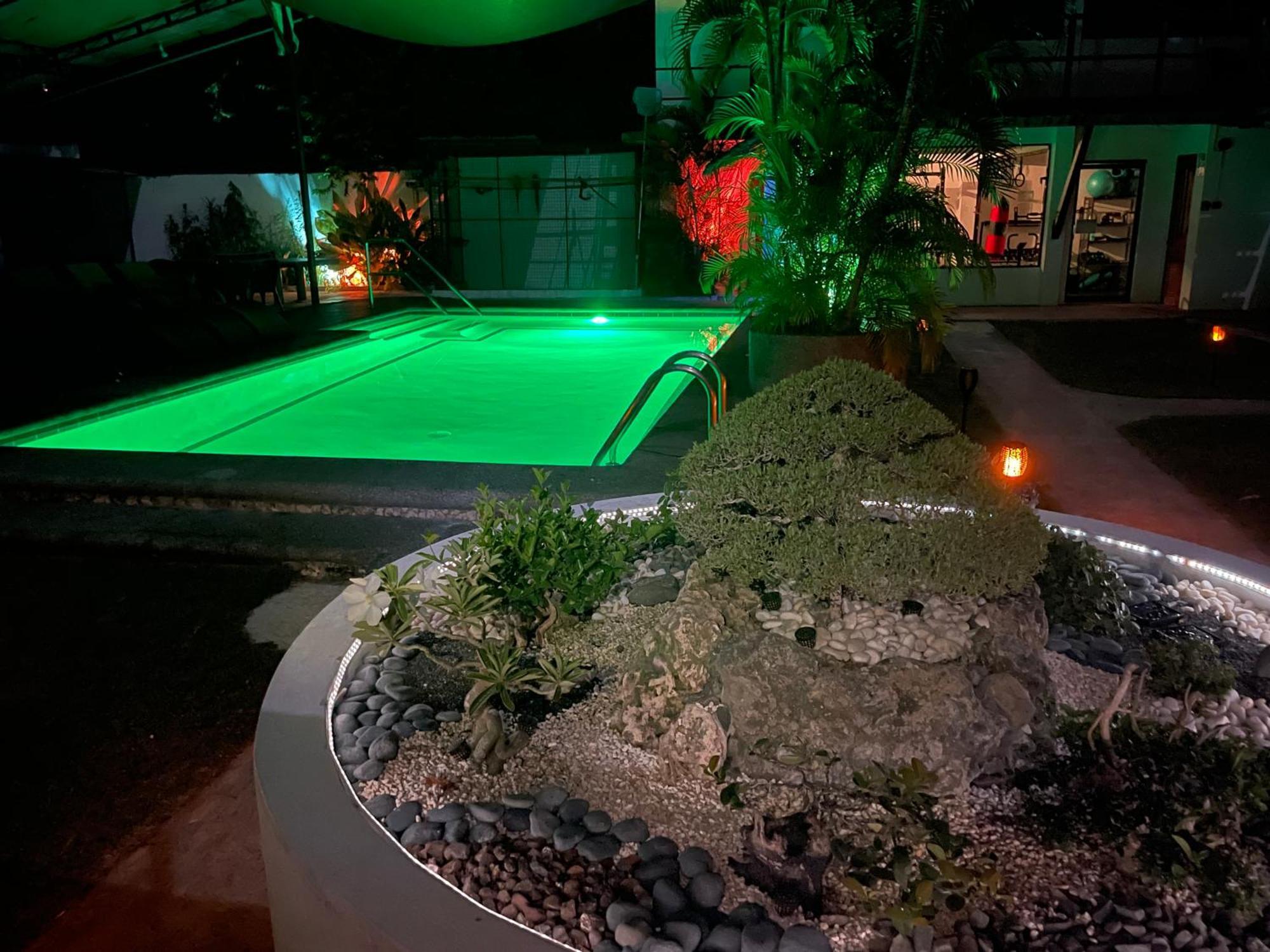 Parrot Resort מואלבואל מראה חיצוני תמונה