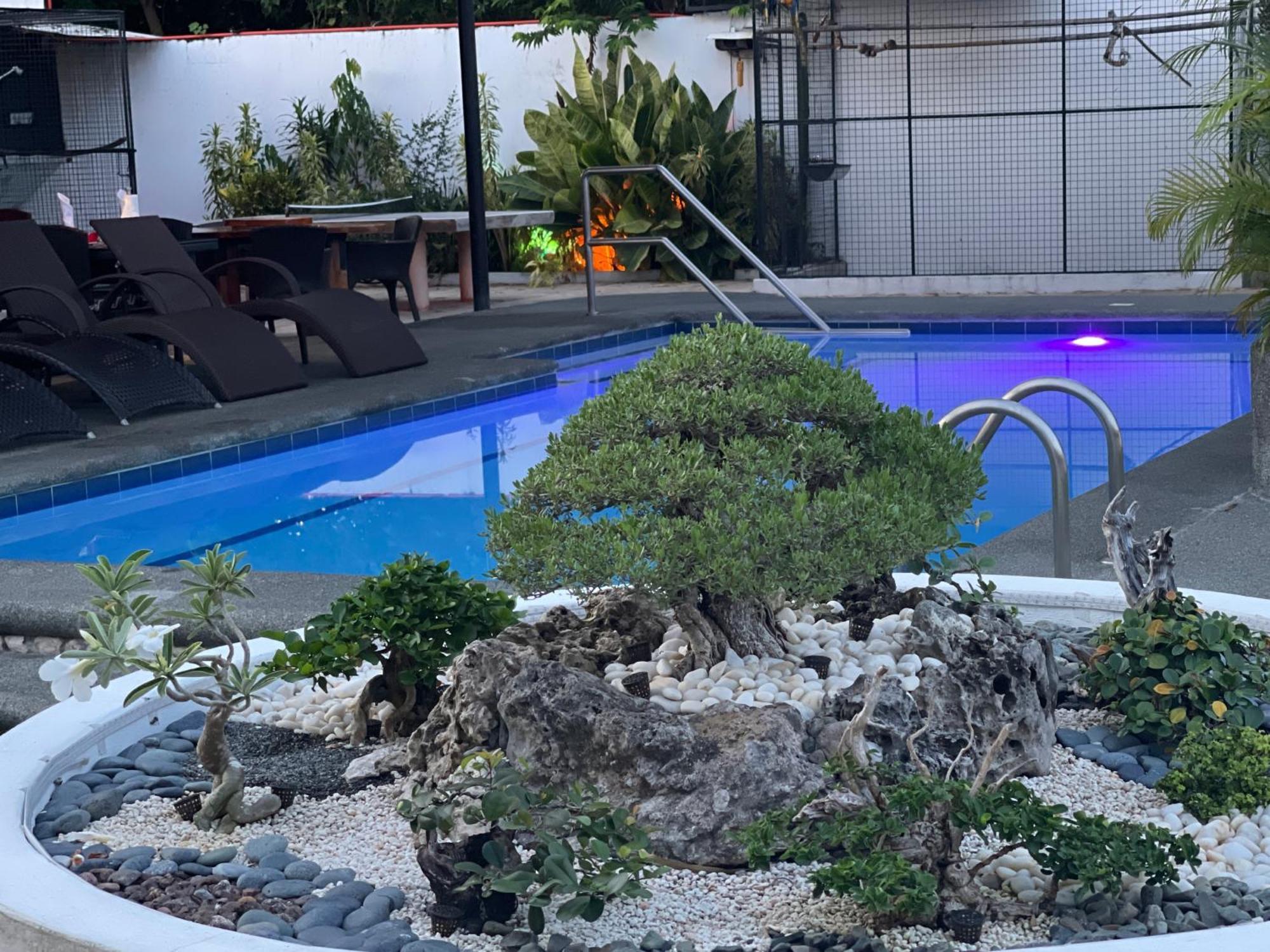 Parrot Resort מואלבואל מראה חיצוני תמונה